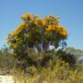 Leavin’ Lancelin… -> photo 3