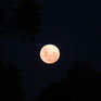 FULLMOON over W.A. -> photo 1