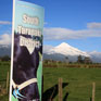 Hitting the Surf Highway, Taranaki, New Zealand ! -> photo 3