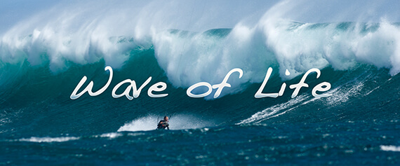 My Film: “Wave of Life”