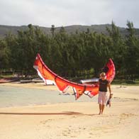 Unlucky trip to Rodriguez island