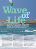 Wave of Life – My brandnew column ! -> photo 2